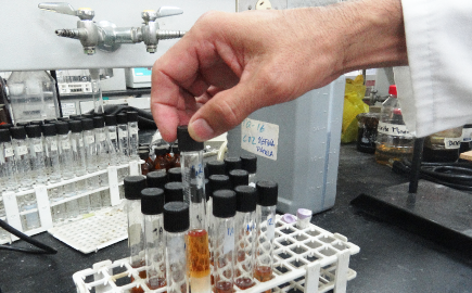 Química